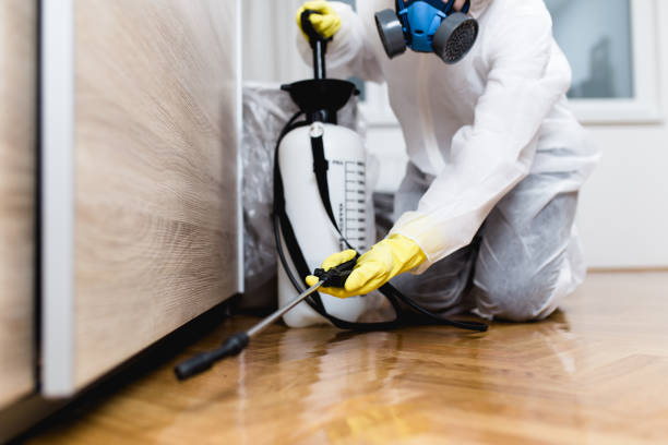Best Mosquito Control Services  in Manchester, NH