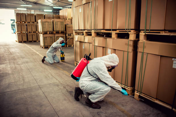 Best Pest Prevention Services  in Manchester, NH