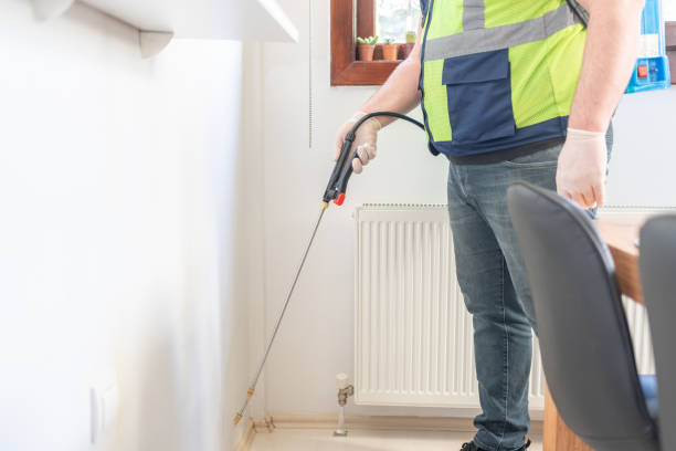 Best Pest Control Near Me  in Manchester, NH