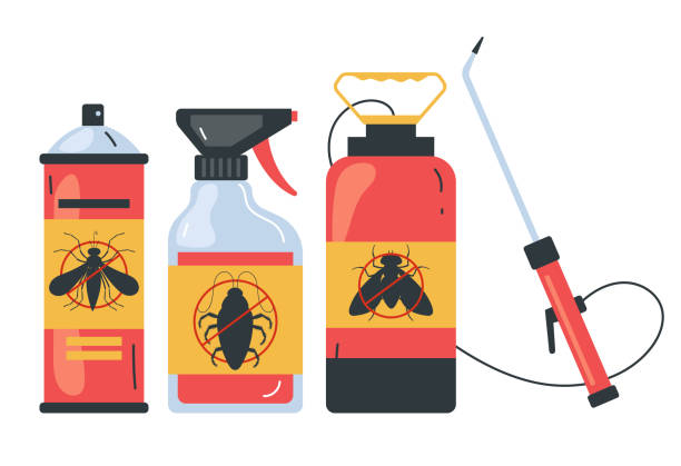 Best Pest Control for Homes  in Manchester, NH