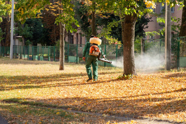 Best Local Pest Control Services  in Manchester, NH