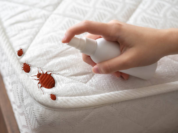  Manchester, NH Pest Control Pros